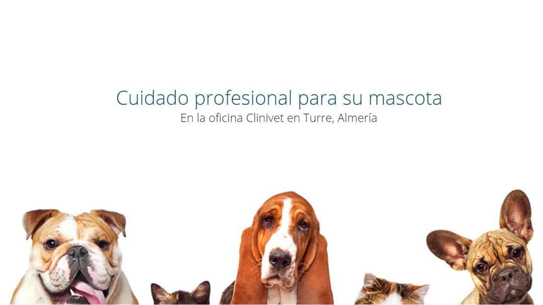 clinivet veterinario centro en turre en almeria principalImage ADOPTA Sitios Pet Friendly