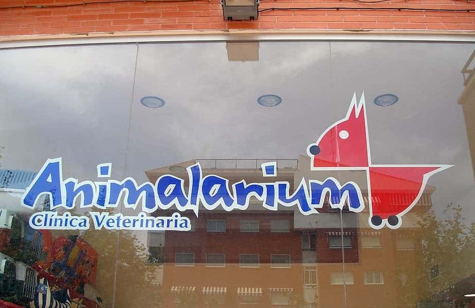 CLINICA VETERINARIA ANIMALARIUM