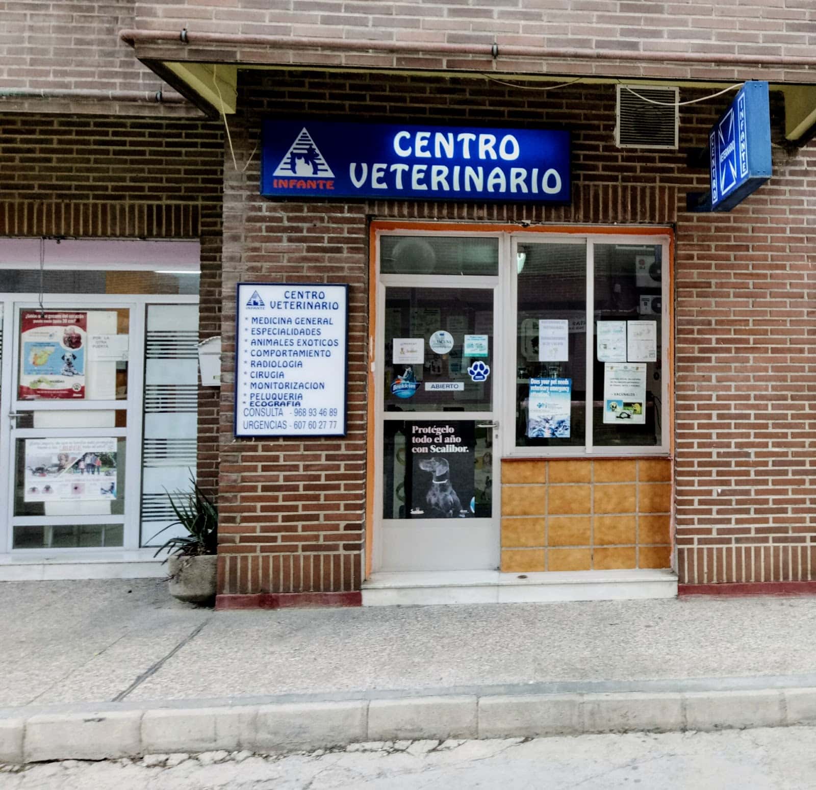 centro veterinario infante veterinario centro barrio murcia en murcia en murcia principalImage ADOPTA Sitios Pet Friendly