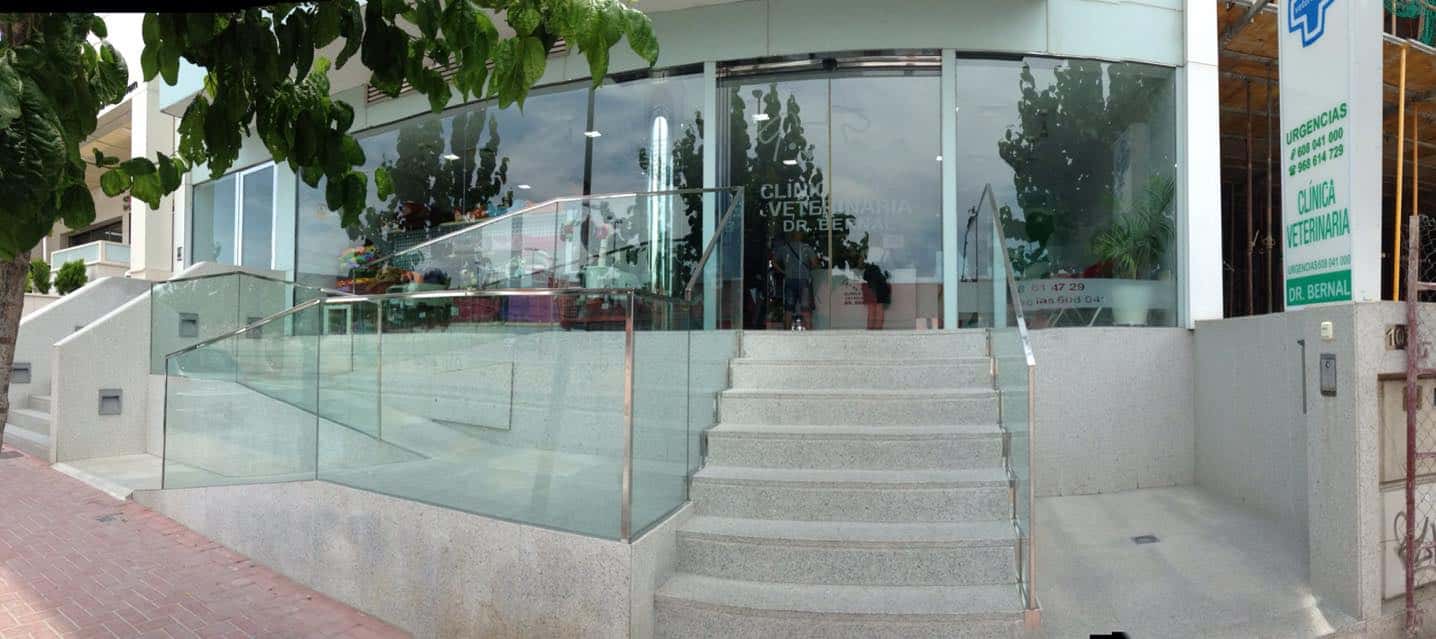 clinica veterinaria dr bernal veterinario clinica en molina de segura en murcia principalImage ADOPTA Sitios Pet Friendly