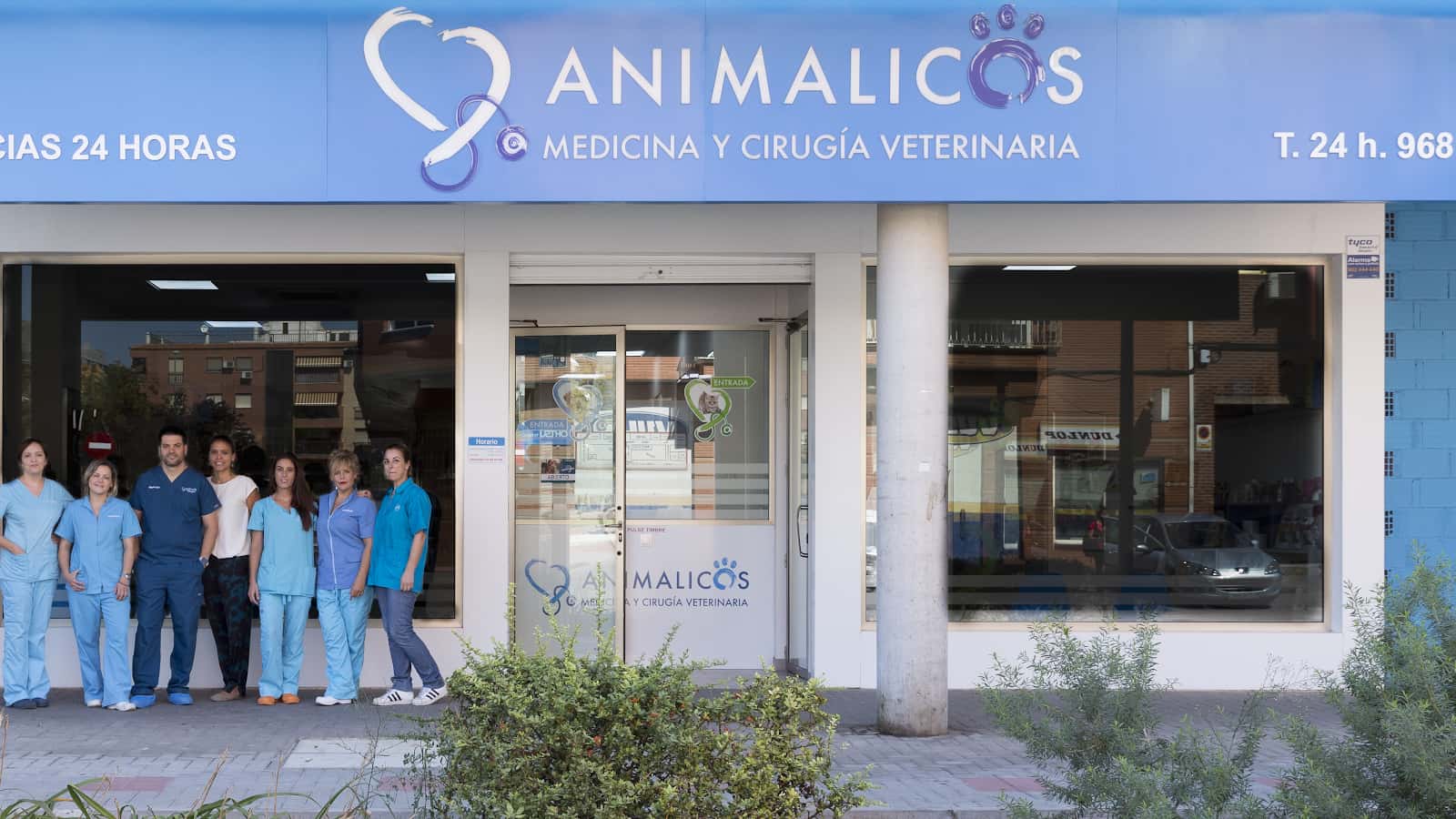 Animalicos Hospital de Día Veterinario