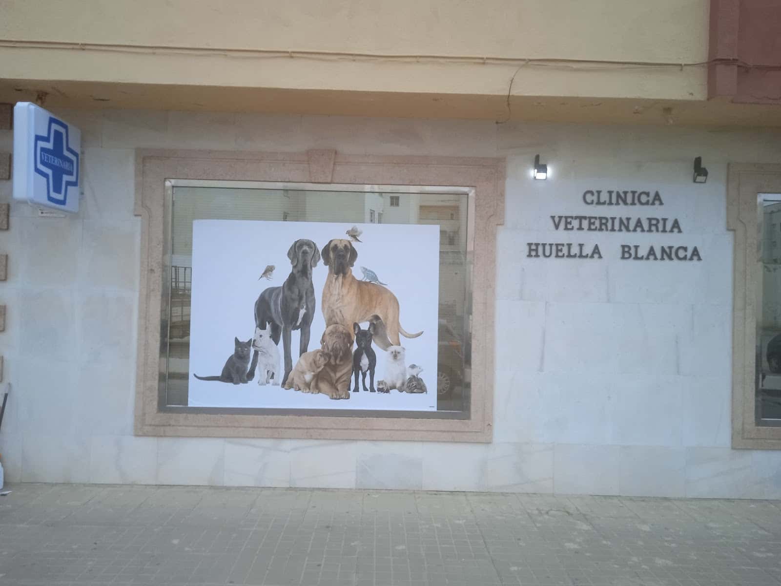 clinica veterinaria huella blanca veterinario clinica en el ejido en almeria principalImage ADOPTA Sitios Pet Friendly