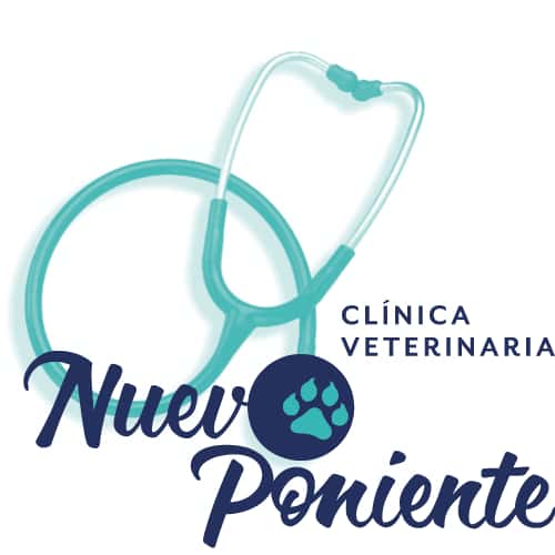 clinica veterinaria nuevo poniente veterinario clinica en el ejido en almeria principalImage ADOPTA Sitios Pet Friendly