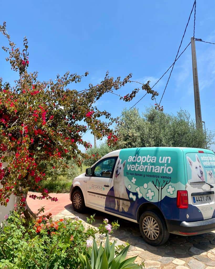 albanta veterinarios veterinario centro en huercal overa en almeria principalImage ADOPTA Sitios Pet Friendly