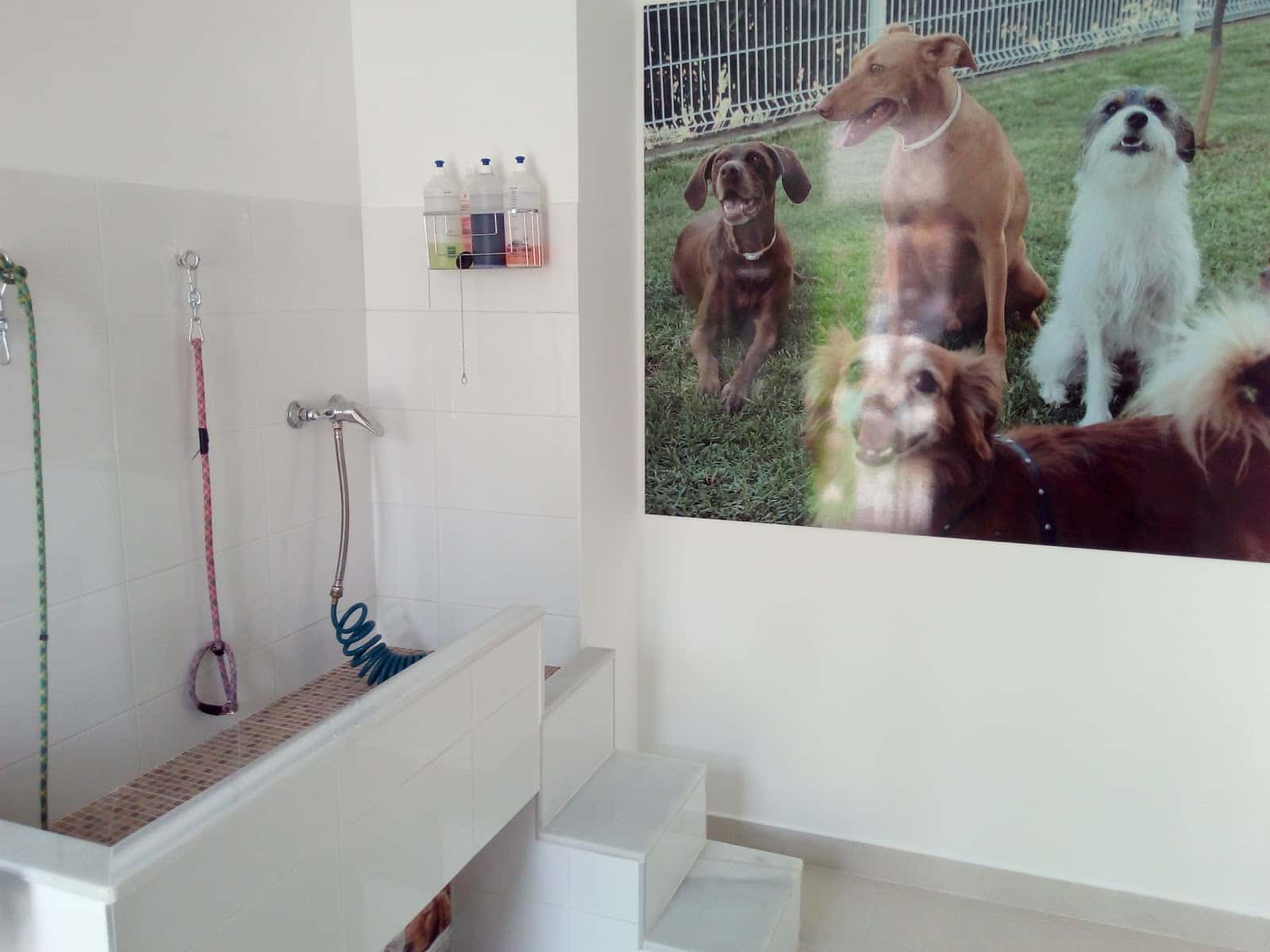 CENTRO VETERINARIO GARRAS