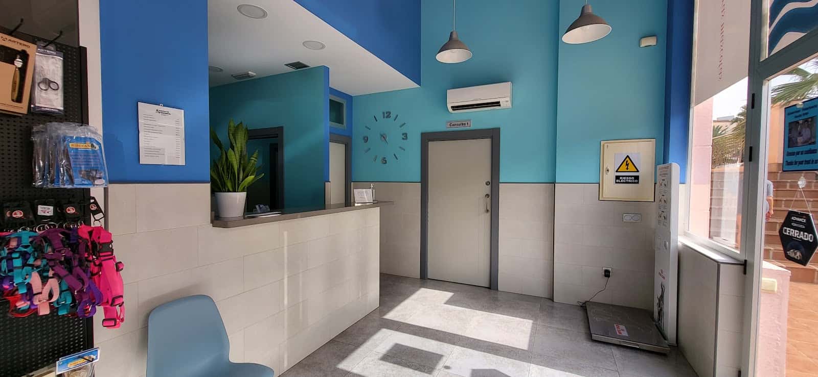 Almerimar Veterinaria
