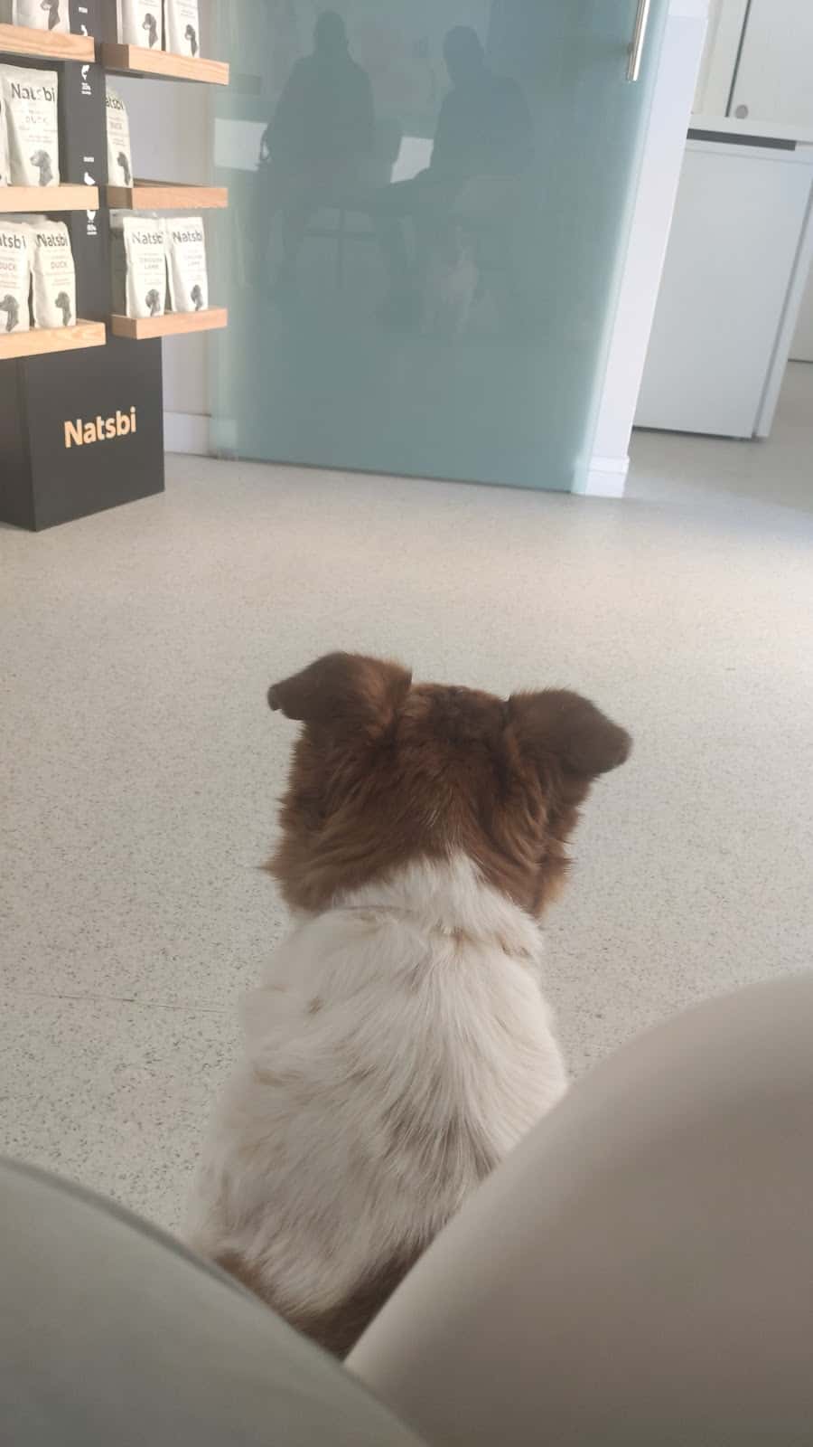 Centro Veterinario Bienestar Animal