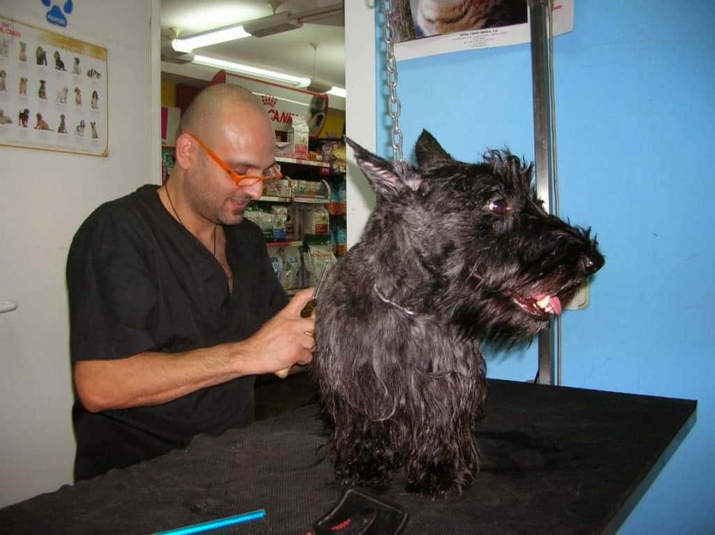 Clínica Veterinaria Alborán