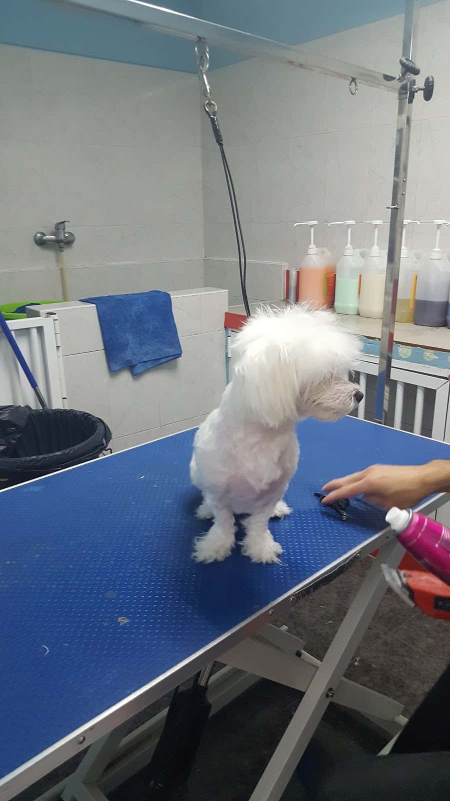 Clínica Veterinaria Alborán