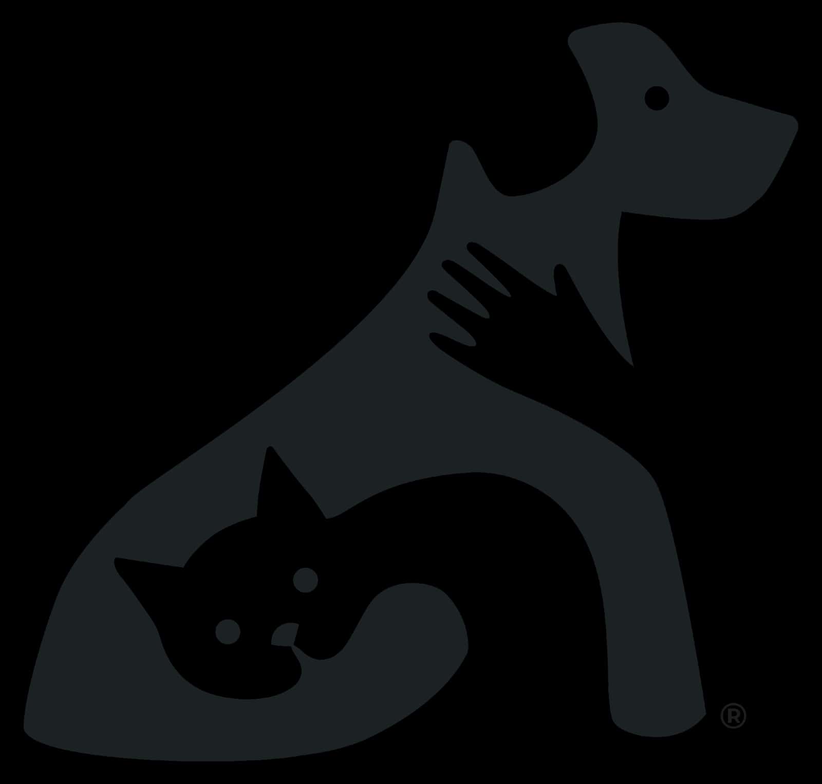 Clínica Veterinaria Valdivia