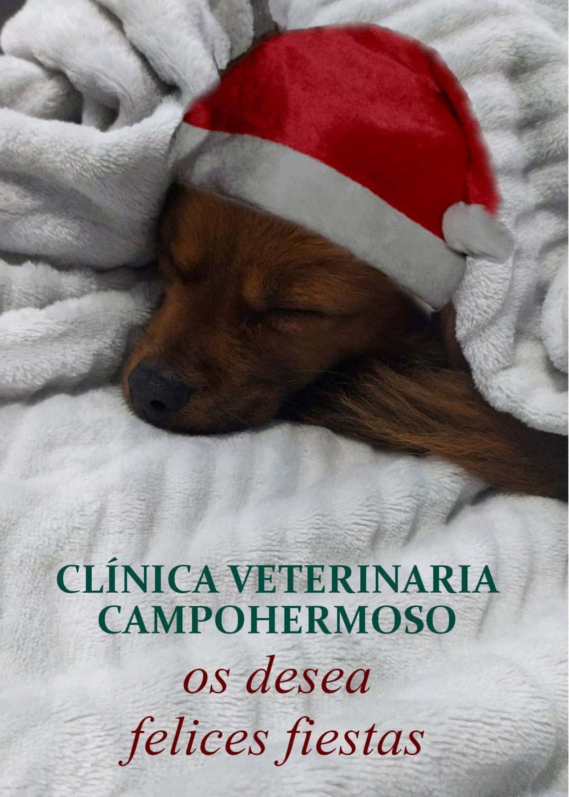 Clínica Veterinaria Campohermoso