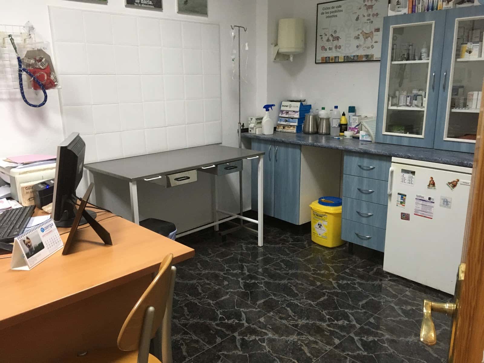 clinica veterinaria campohermoso veterinario clinica en campohermoso en almeria principalImage ADOPTA Sitios Pet Friendly