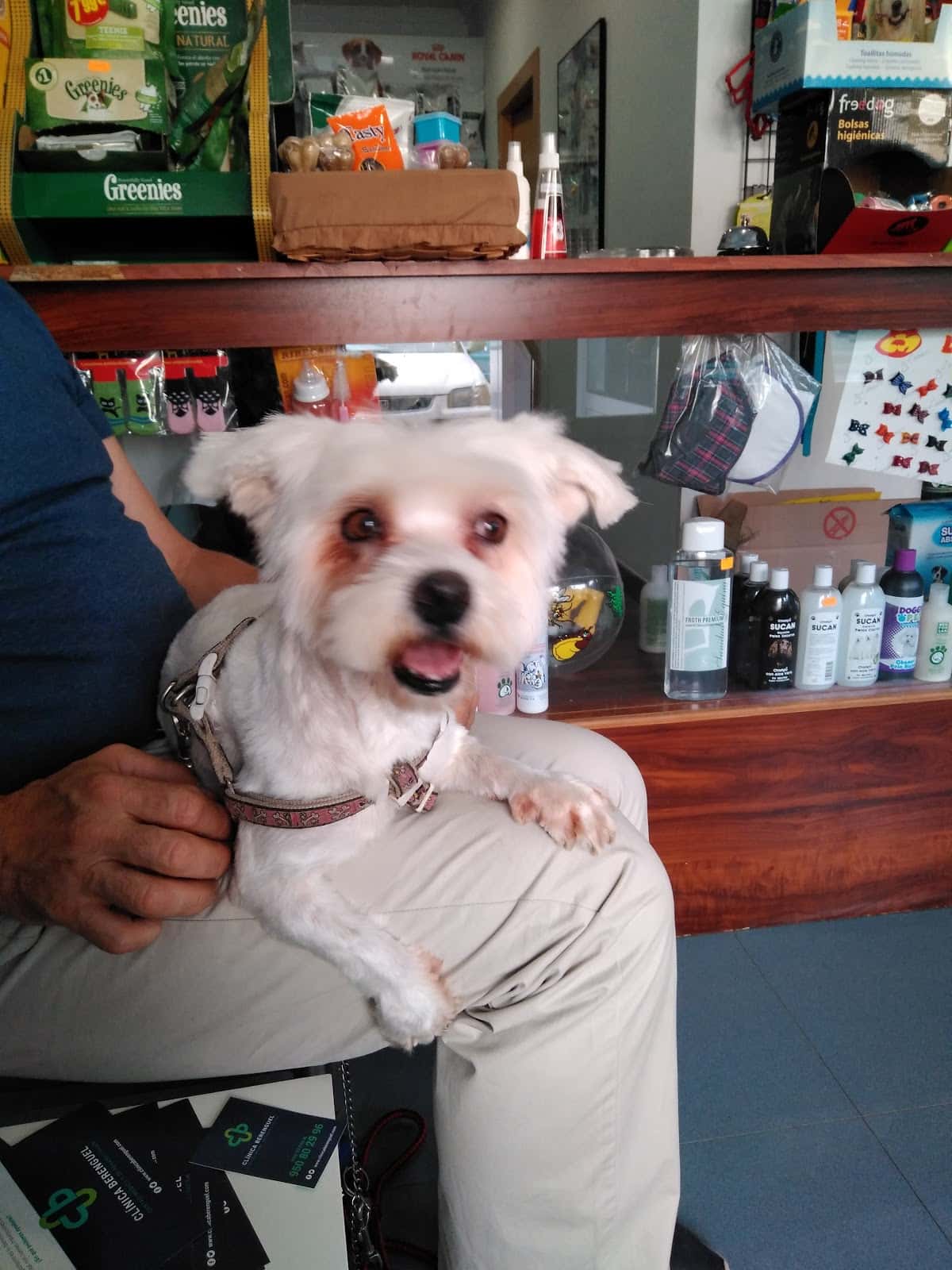 Clínica Veterinaria Alpujarra