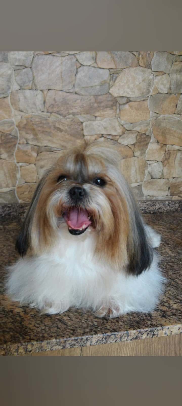 Clínica Veterinaria Alpujarra