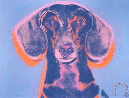 Centro Veterinario El Sur