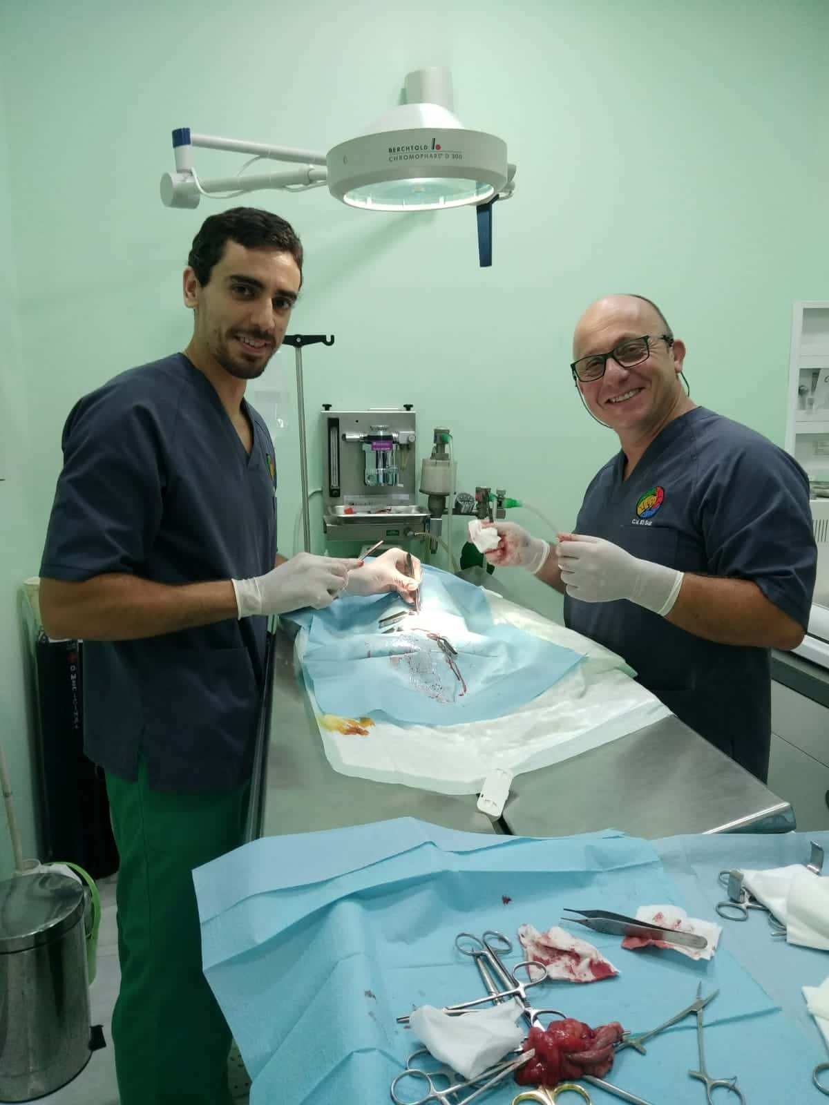 Centro Veterinario El Sur