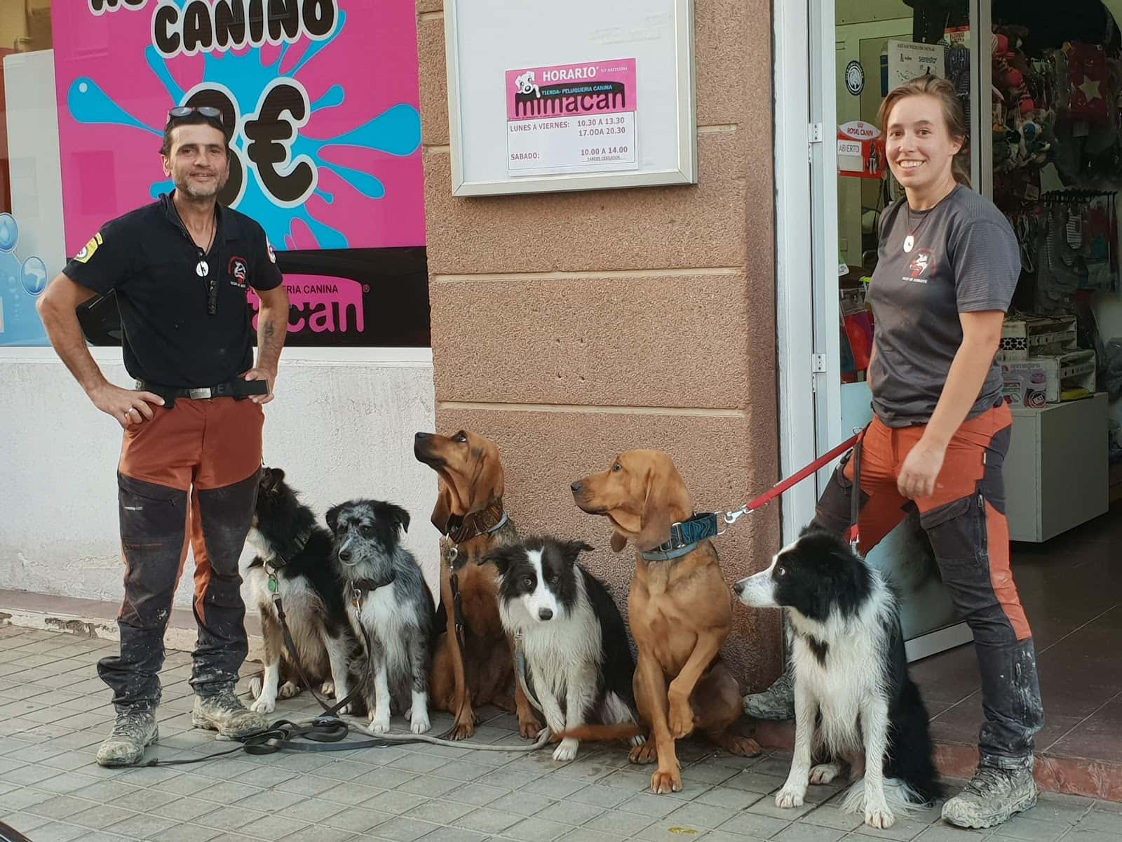 mimacan veterinario centro barrio almeria en almeria en almeria principalImage ADOPTA Sitios Pet Friendly