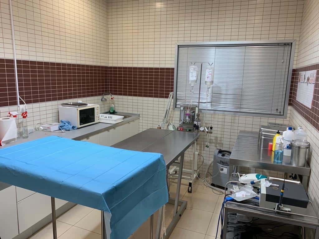 Clínica Veterinaria en Almeria | Panda Veterinario
