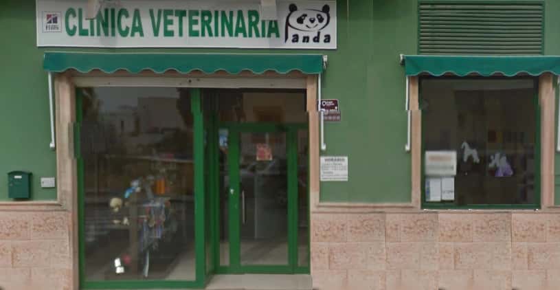 Clínica Veterinaria en Almeria | Panda Veterinario