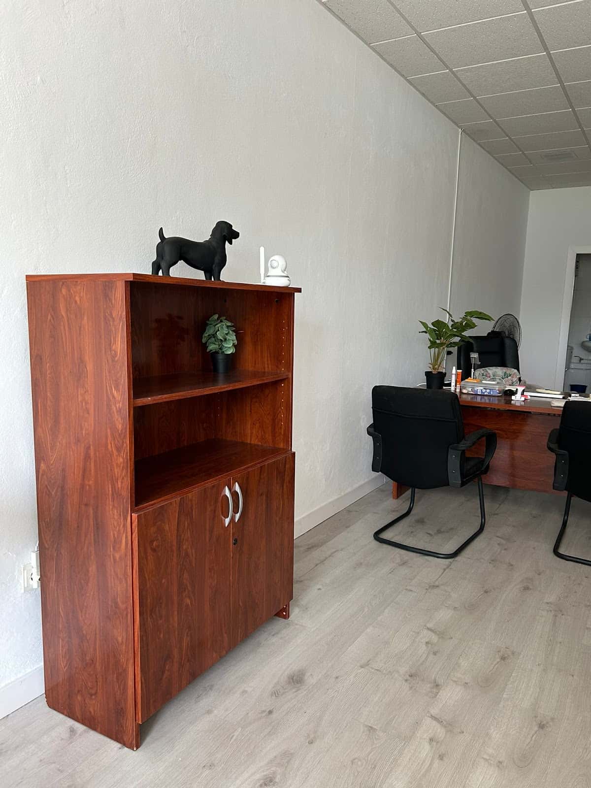 Centro Veterinario El Cercado