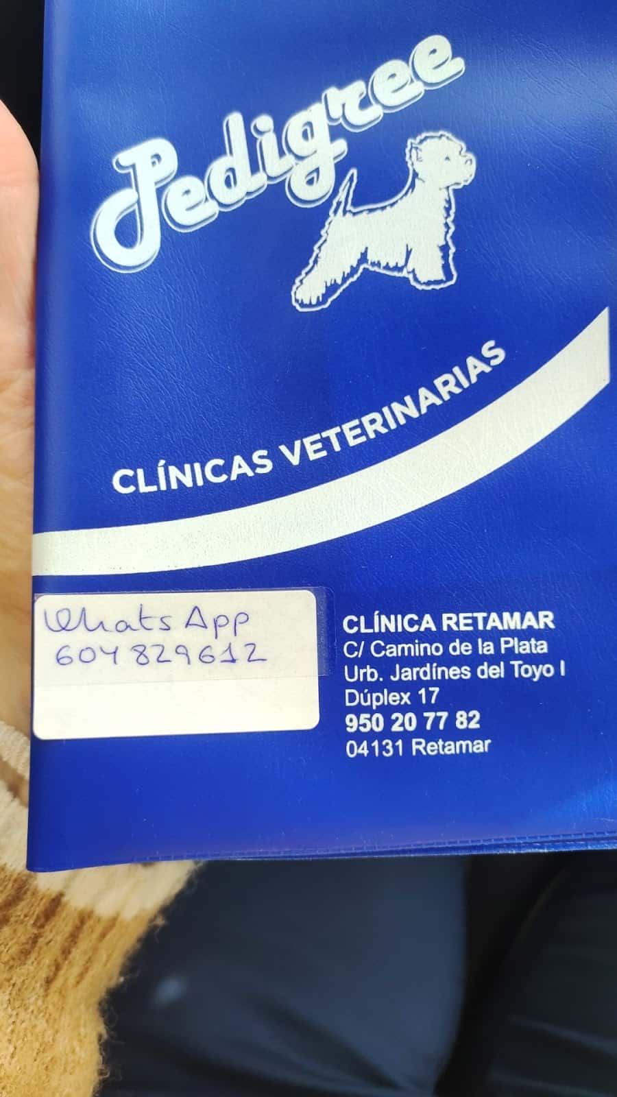Clinica Veterinaria Pedigree