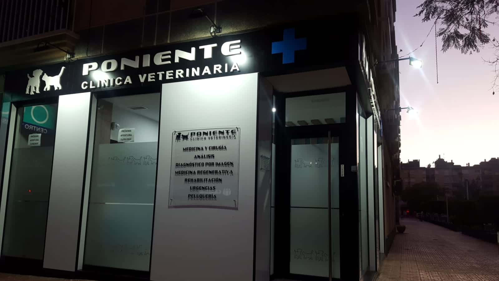 poniente veterinario centro en aguilas en murcia principalImage ADOPTA Sitios Pet Friendly