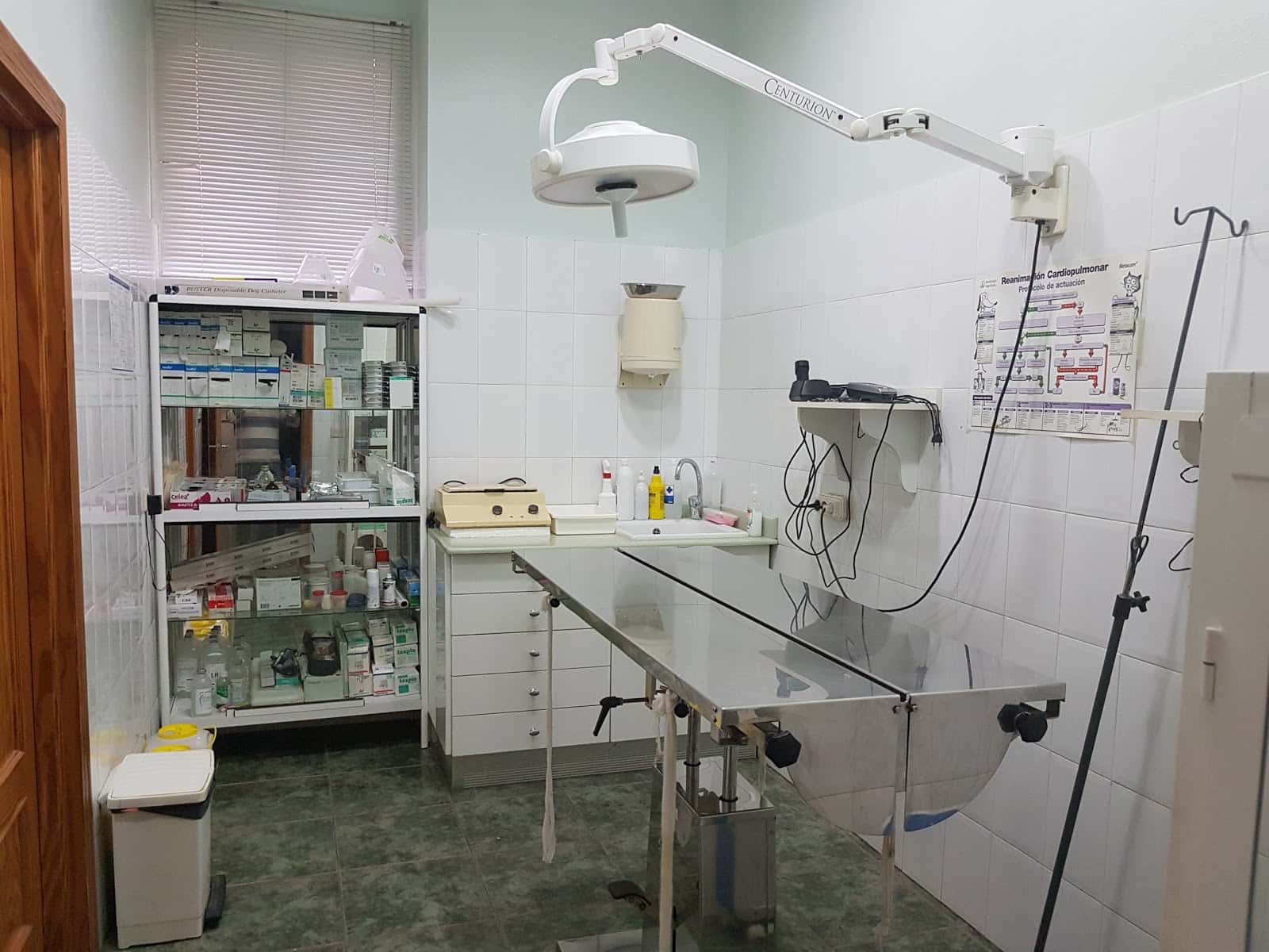 anubis veterinarios veterinario centro en aguilas en murcia principalImage ADOPTA Sitios Pet Friendly