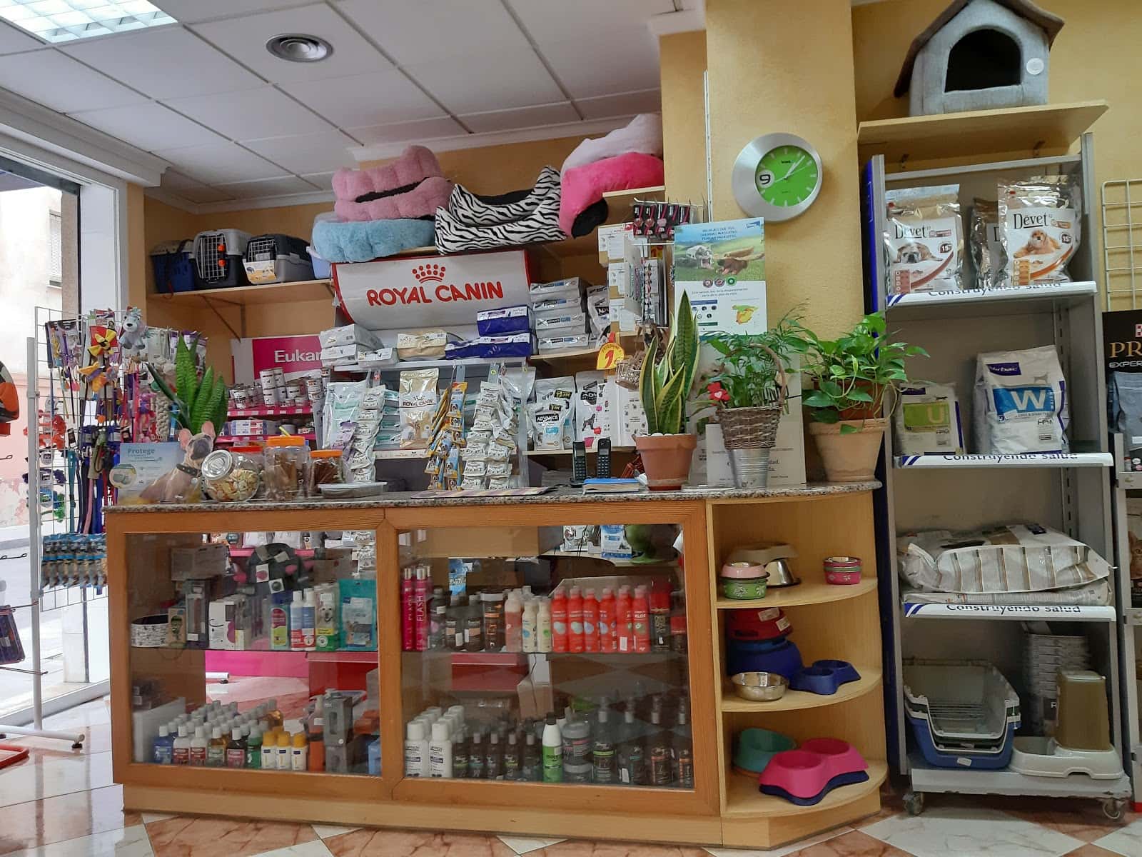 huellas veterinario centro en aguilas en murcia principalImage ADOPTA Sitios Pet Friendly