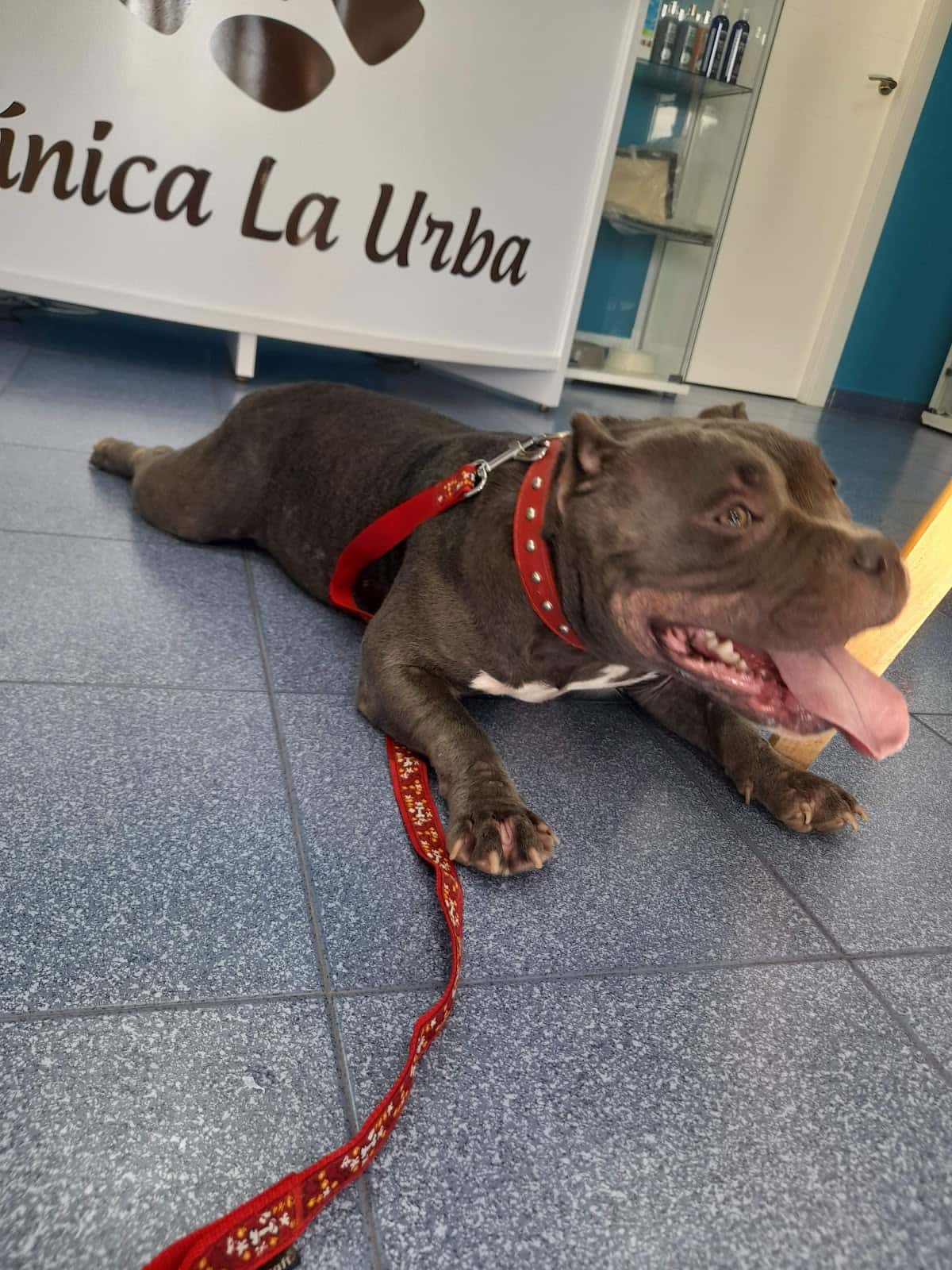 Clínica Veterinaria "La Urba" y Ecovet