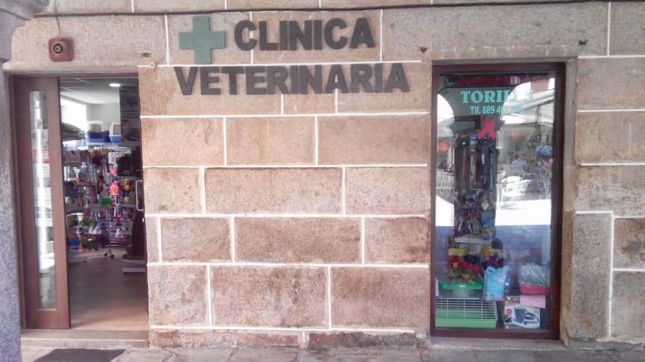 clinica veterinaria toriles veterinario clinica en el barco de avila en avila principalImage ADOPTA Sitios Pet Friendly