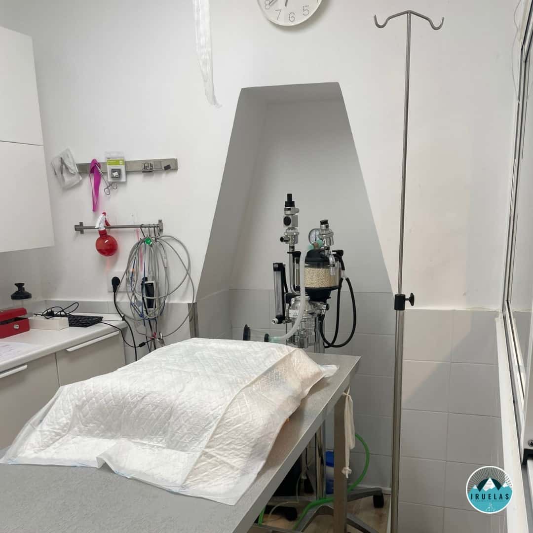 CLINICA VETERINARIA IRUELAS