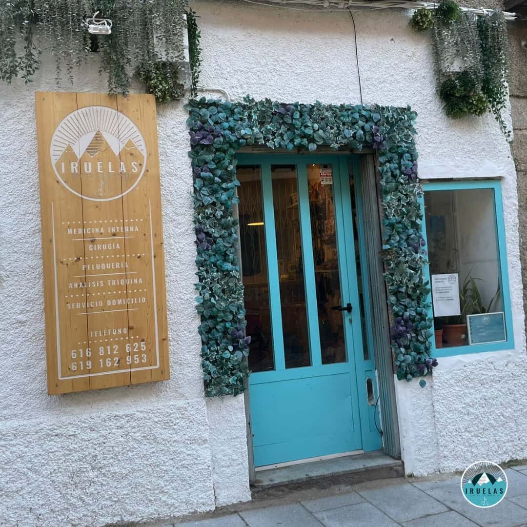 clinica veterinaria iruelas veterinario clinica en navaluenga en avila principalImage ADOPTA Sitios Pet Friendly