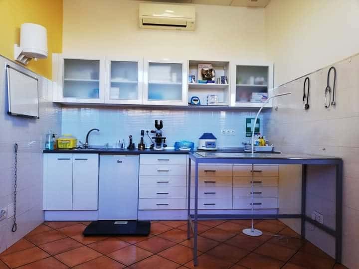 Clínica Veterinaria Albeitar Hervencias