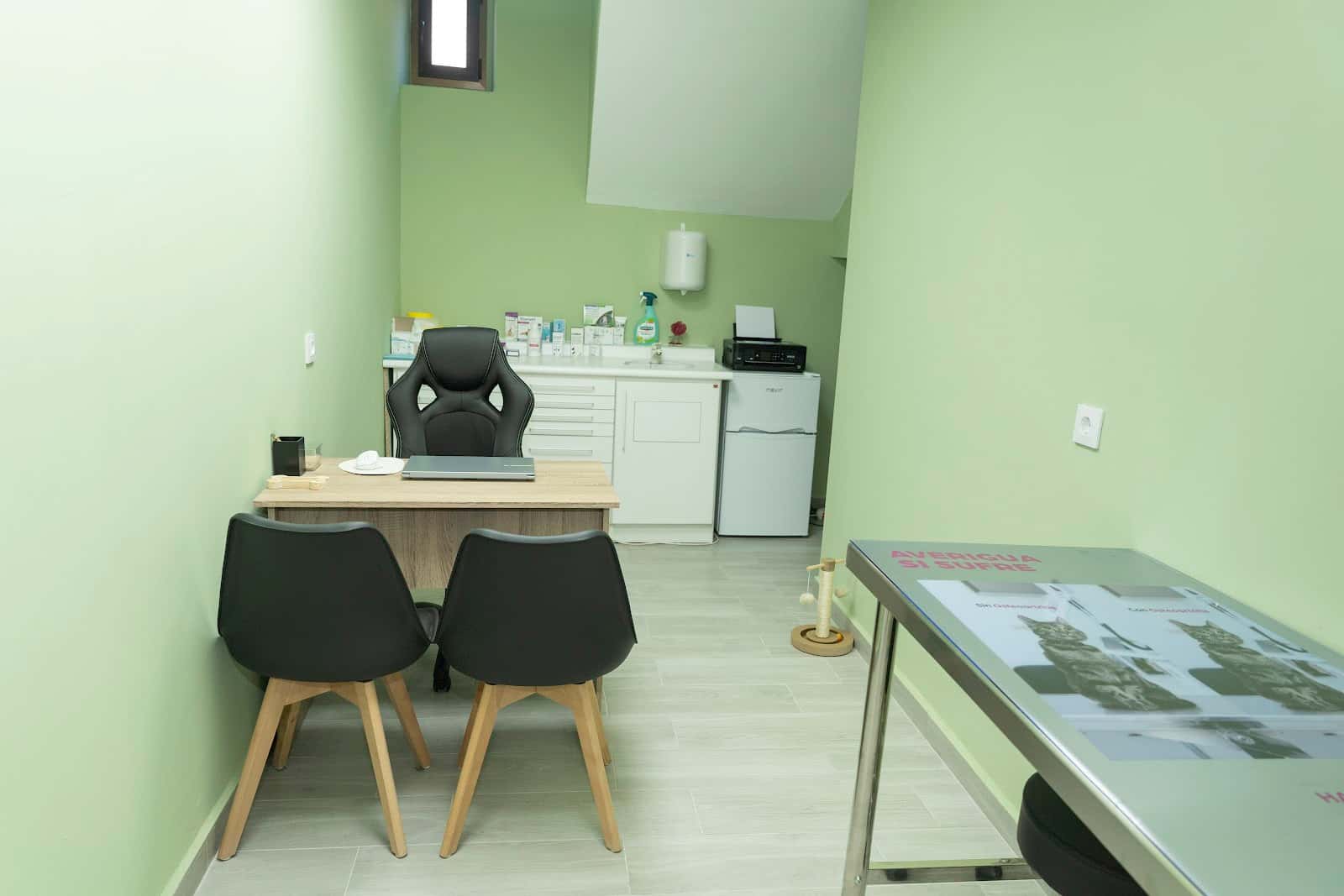 clinica veterinaria por ellos veterinario clinica en arenas de san pedro en avila photo undefined ADOPTA Sitios Pet Friendly