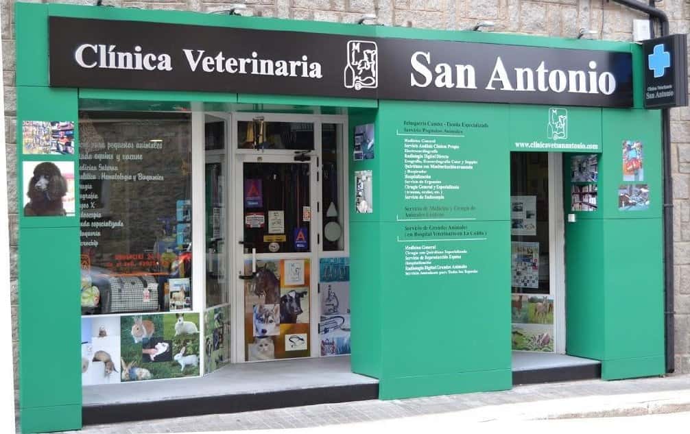 clinica veterinaria san antonio veterinario clinica barrio avila en avila en avila photo undefined ADOPTA Sitios Pet Friendly