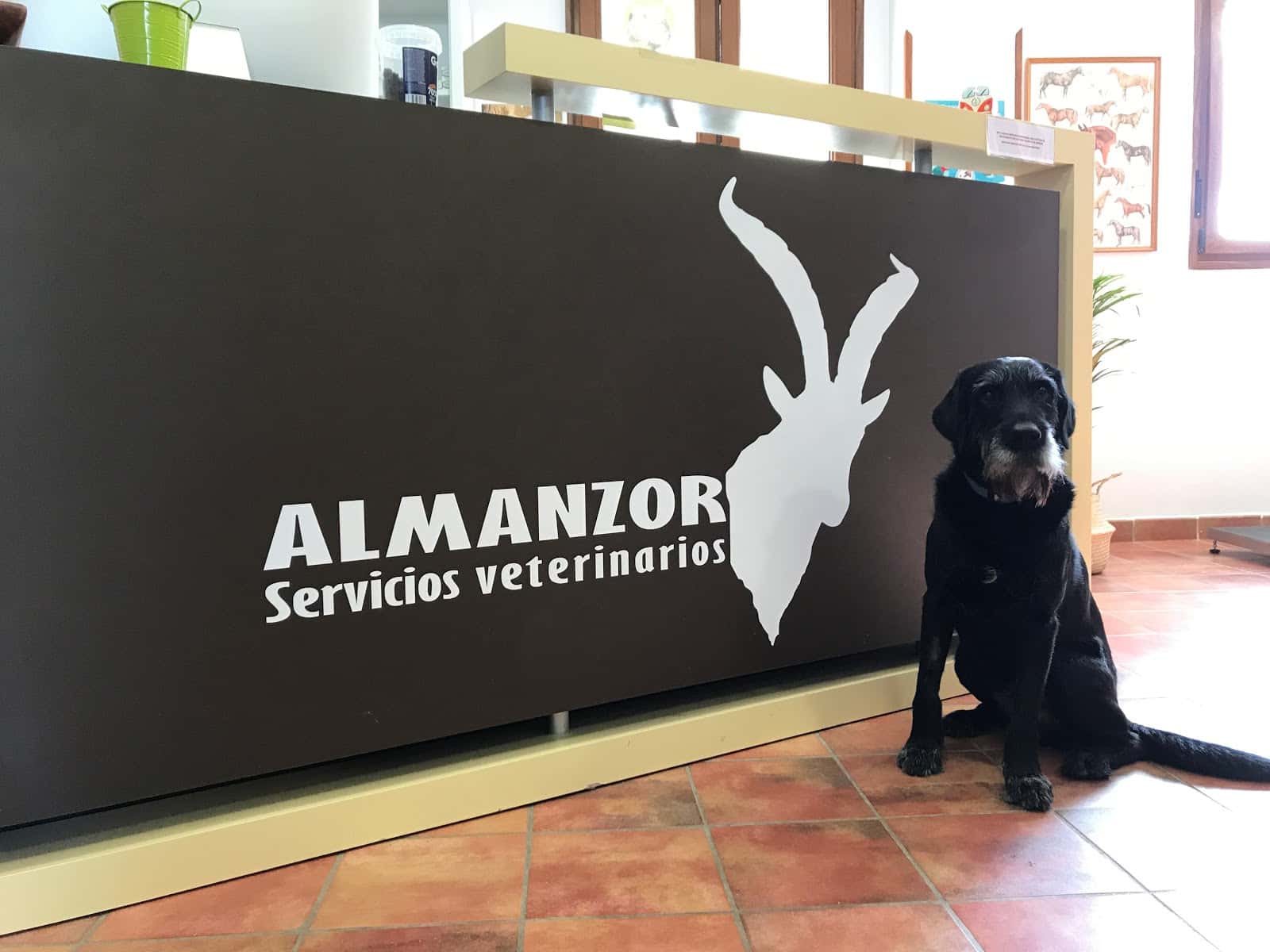 Almanzor Servicios Veterinarios