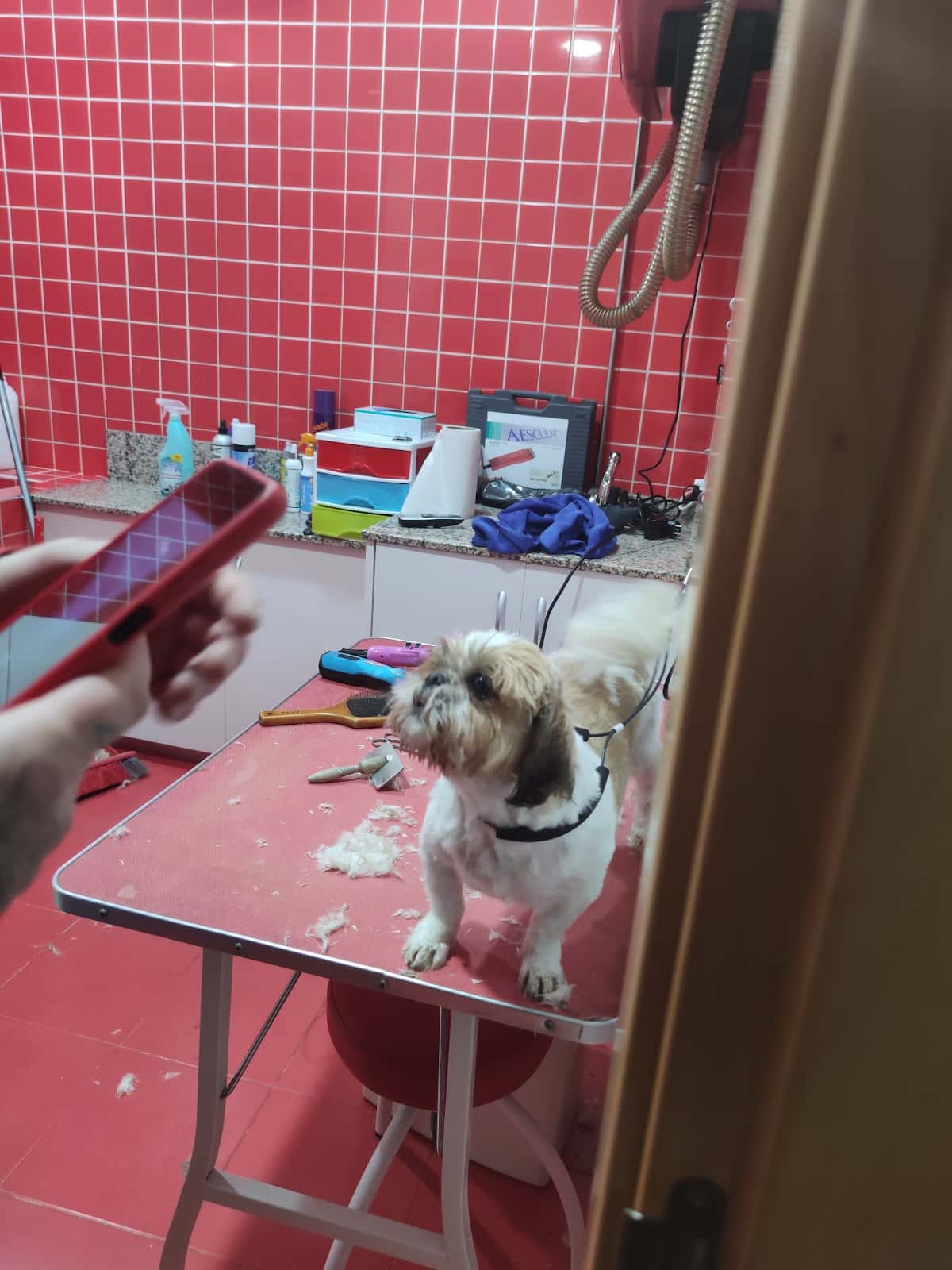 animalarium veterinario centro en penaranda de bracamonte en salamanca principalImage ADOPTA Sitios Pet Friendly