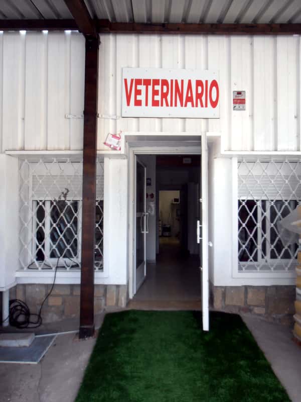 clinica alvis gredos urgencias y consultas veterinarias  veterinario clinica en arenas de san pedro en avila photo undefined ADOPTA Sitios Pet Friendly