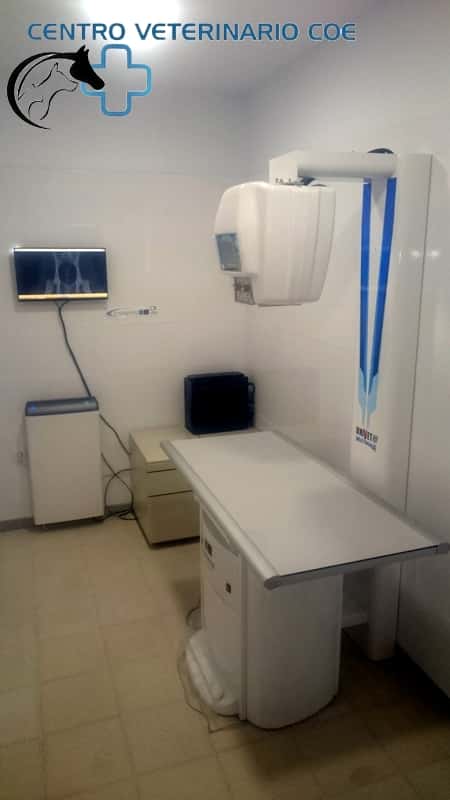 CENTRO VETERINARIO COE