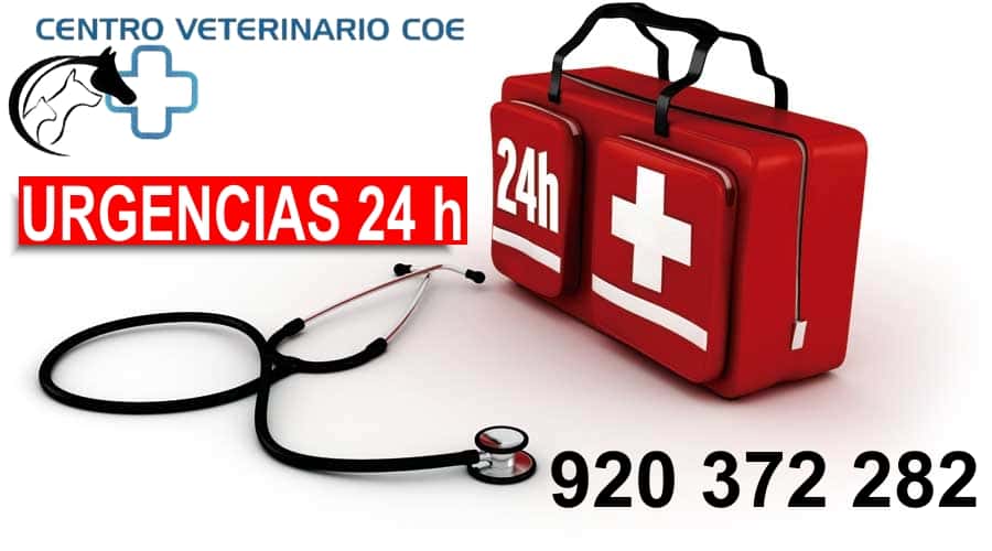 CENTRO VETERINARIO COE
