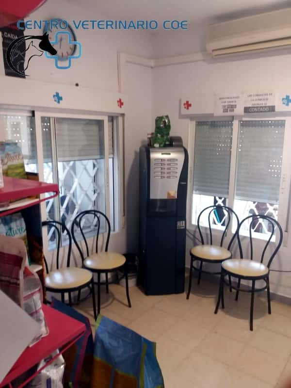 centro veterinario coe veterinario centro en arenas de san pedro en avila principalImage ADOPTA Sitios Pet Friendly