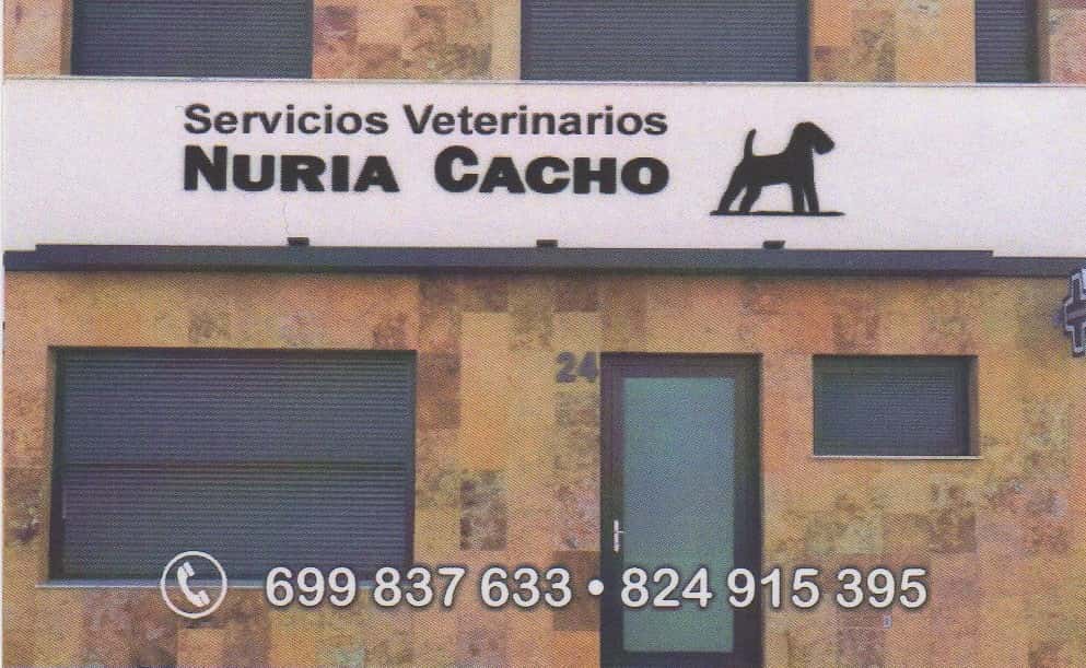 servicios veterinarios nuria cacho veterinario centro en barcarrota en badajoz principalImage ADOPTA Sitios Pet Friendly