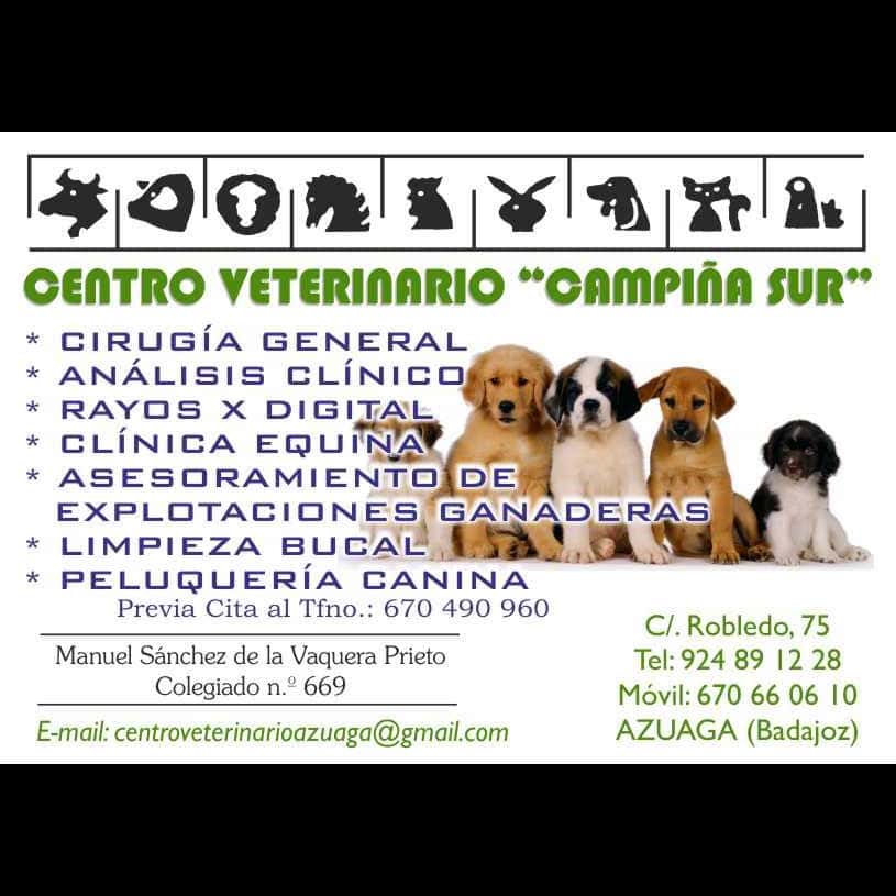 CENTRO VETERINARIO " CAMPIÑA SUR"