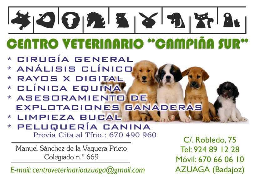 centro veterinario   campina sur  veterinario centro en azuaga en badajoz photo undefined ADOPTA Sitios Pet Friendly