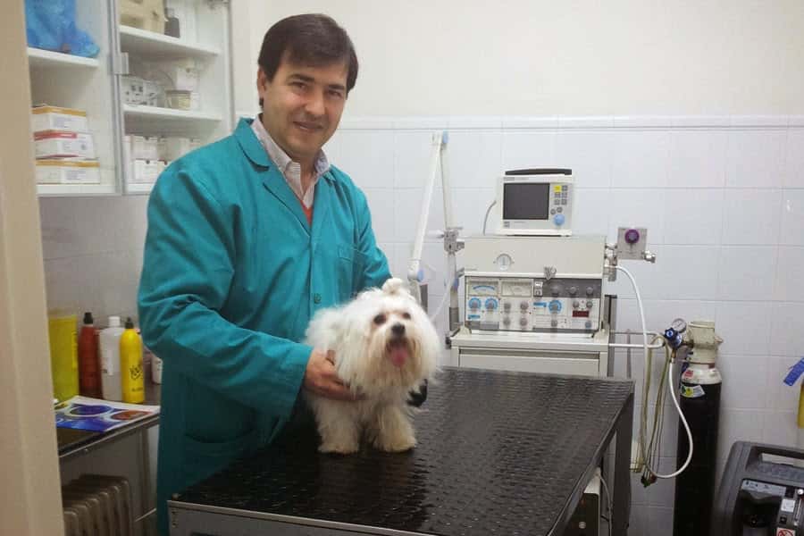 Clínica Veterinaria Manuel García Izquierdo