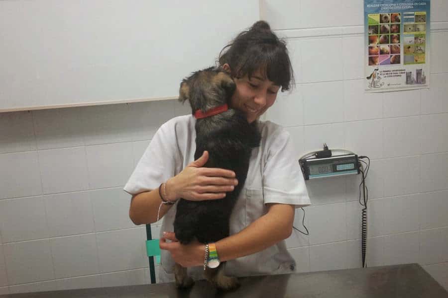 Clínica Veterinaria Manuel García Izquierdo