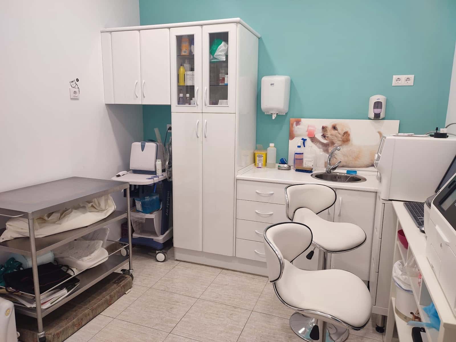 Clínica Veterinaria Animaluchos