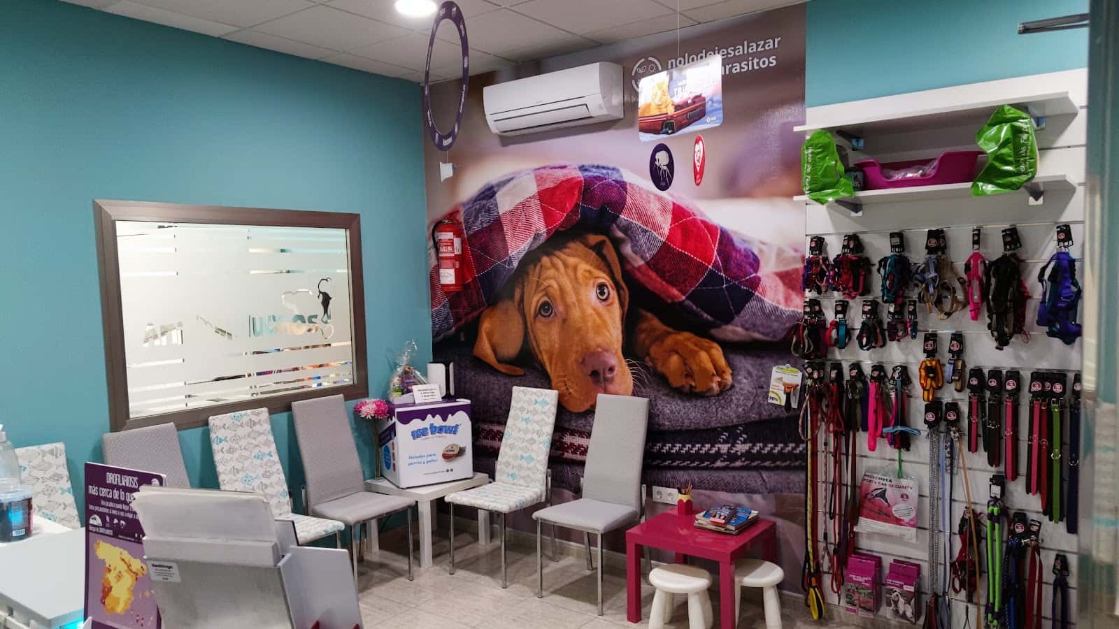 Clínica Veterinaria Animaluchos