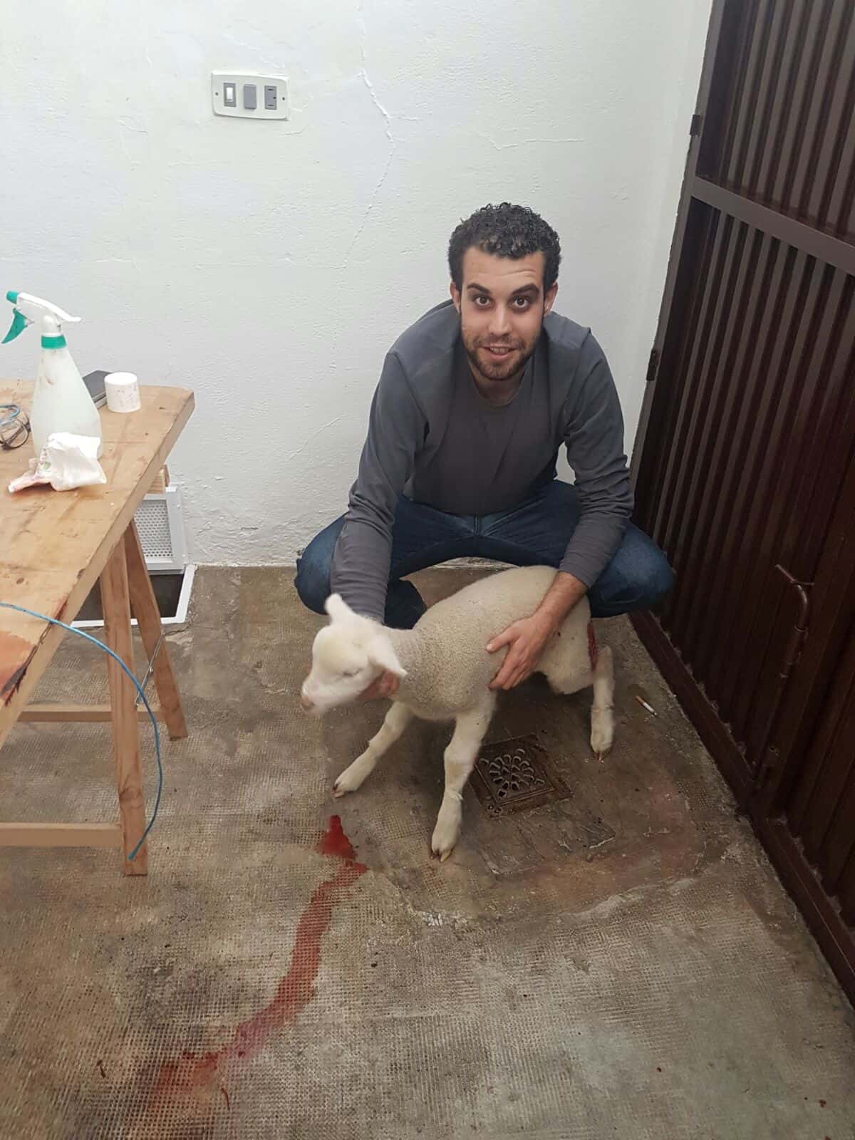 VETERINARIO CLÍNICO MANUEL CHAPARRO SANZ