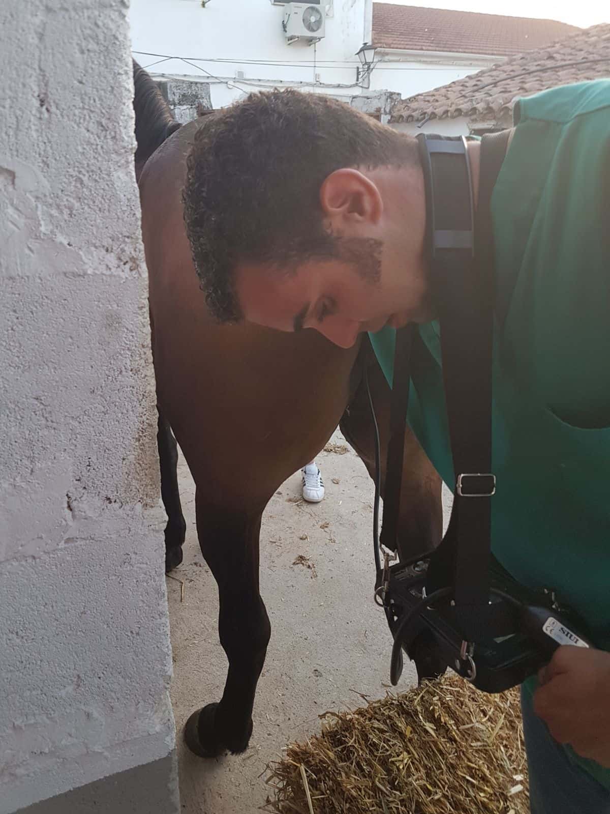 VETERINARIO CLÍNICO MANUEL CHAPARRO SANZ
